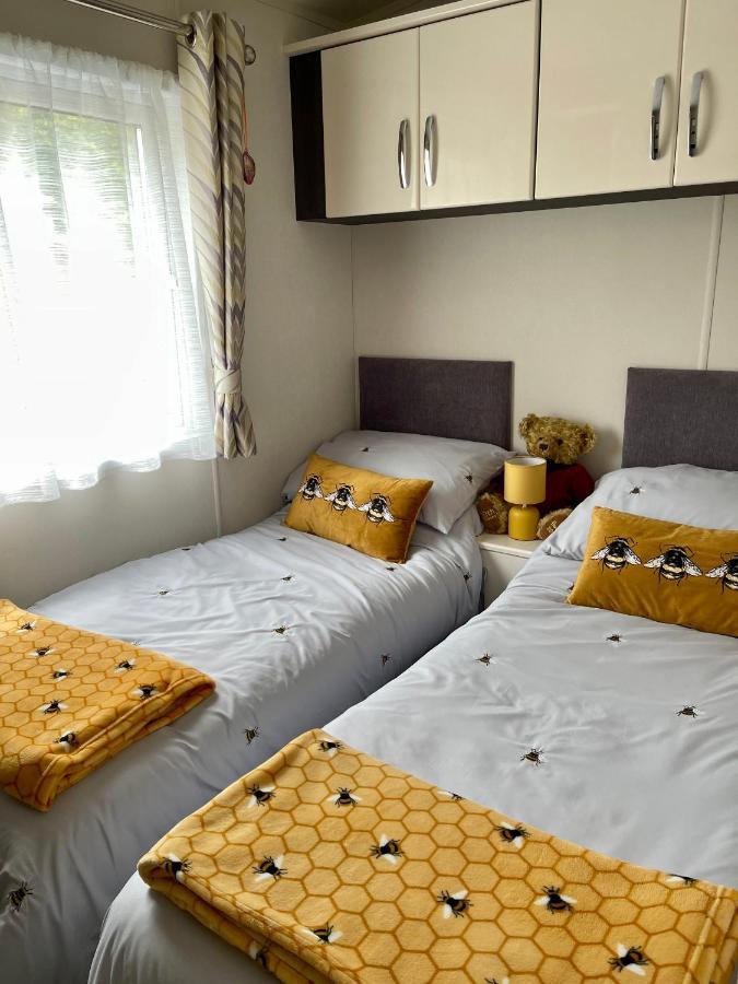 Honeycomb Campsite Dollar